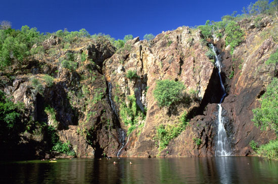 Kakadu