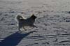 090102-1234_DSC_1786