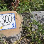 A tile indicating 300 steps