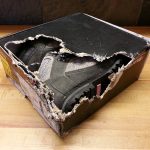 A chewed shoe box