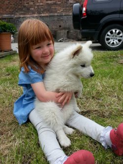 A young child cuddling a samoyed puppy whilst sat on the grass